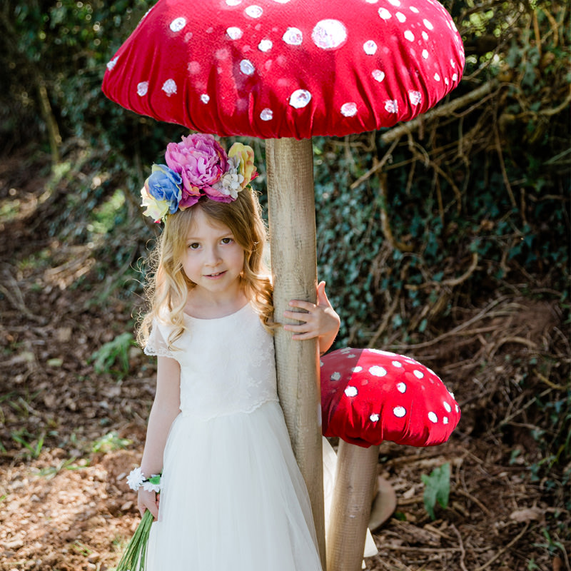 Giant Red Toadstool  1